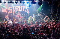 THE STRUTS 2019